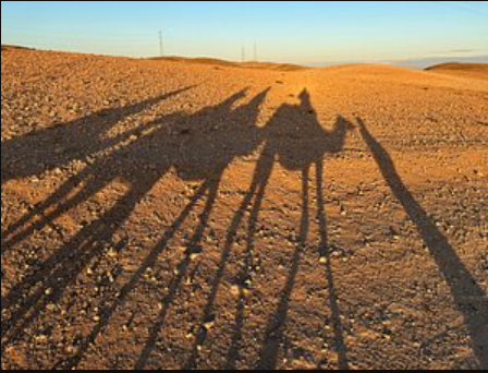 Long shadows of camels and riders cast on the rocky landscape during a cheap camel ride tour in Agafay.