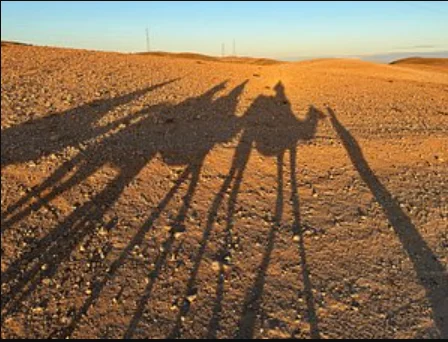 Ombres allongées sur le sol rocailleux pendant une balade à dos de dromadaire dans le désert d'Agafay.