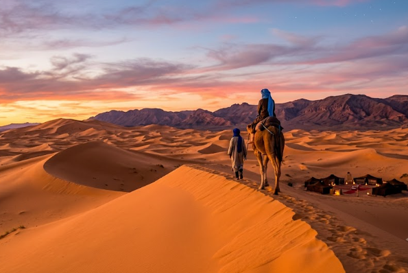 Une caravane avec un chameau sur les dunes dorées du Désert Sahara Maroc au coucher du soleil, avec un campement berbère en arrière-plan.