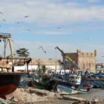 Bateaux de pêche au port d'Essaouira, Maroc