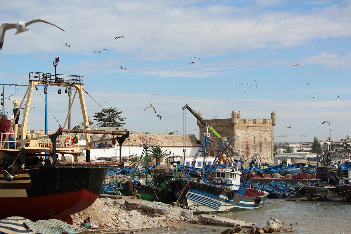 Bateaux de pêche au port d'Essaouira, Maroc